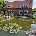 Het Pauwtje
